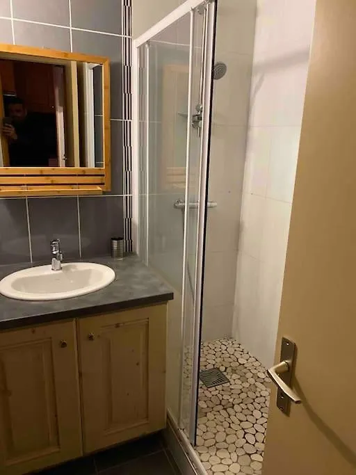 Appartement Aux Coches Skis Aux Pieds La Plagne Apartment